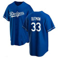 Custom #33 Royal LAD Baseball Shirt Top