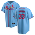 Custom #33 Light Blue STL Baseball Shirt Top
