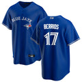 Custom #17 Royal TOR Baseball Shirt Top